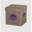CAIXA VIVA BOX SORVETE 10 LITROS