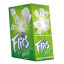 CHICLE FLICS ARCOR HORTELÃ C / 12UND