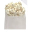 SACO LANCHE MG35  /  BN35 PIPOCA-2 (A2) C /  500